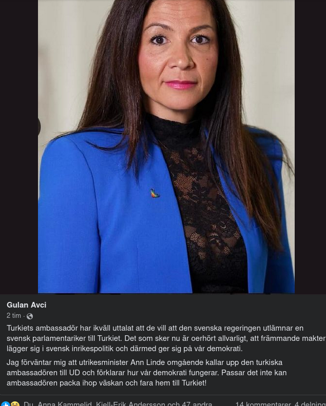 Förväntad Utrikesministerreaktion Från Gulan Avci