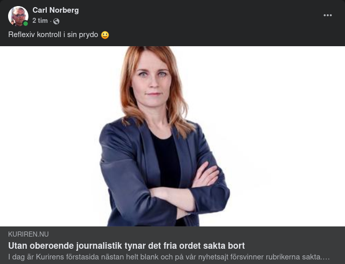 Reflexivt Kontrollerande På Pressfrihetens Dag