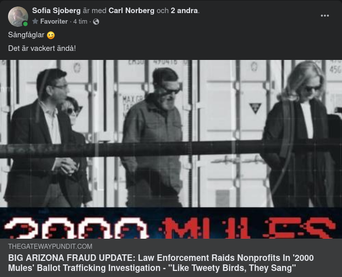 2000 Mules & Sångfåglar