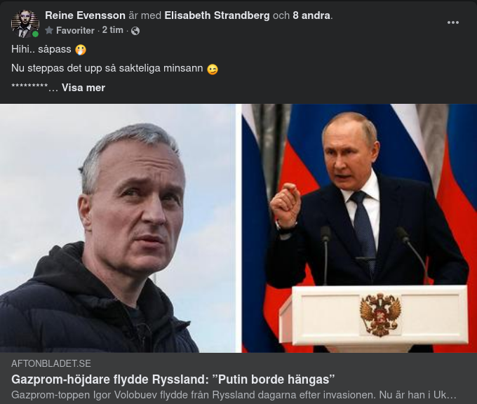 Gazprom-Höjdare Flyr Ryssland