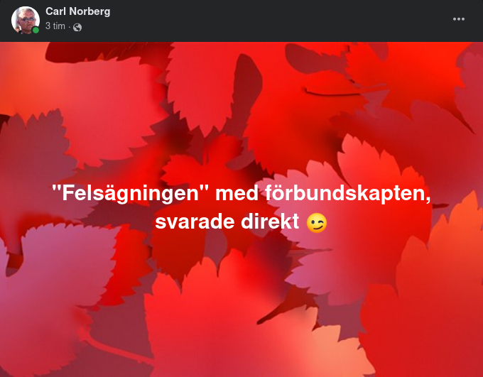 Felsägande Förbundskapten