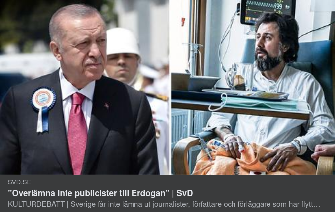 Publicistoro I Sverige