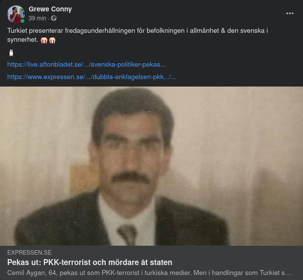 Terrorist I Turkiet - Politiker I Sverige