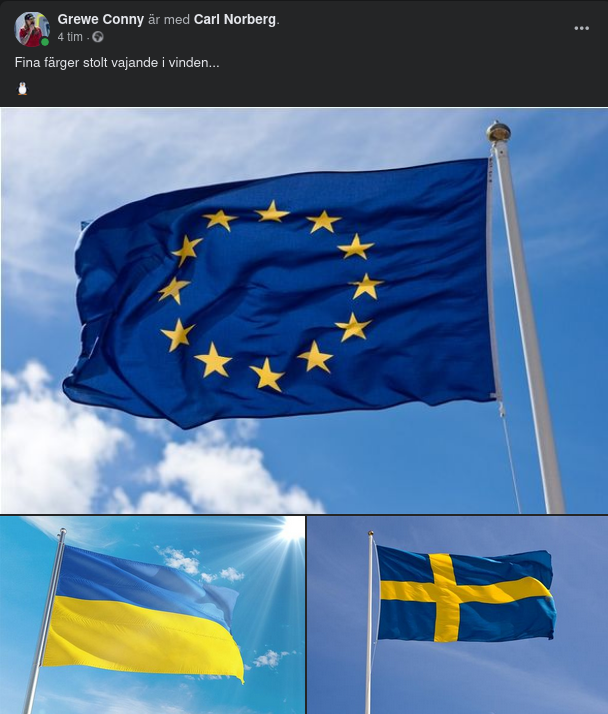 Vajande Flaggfärger