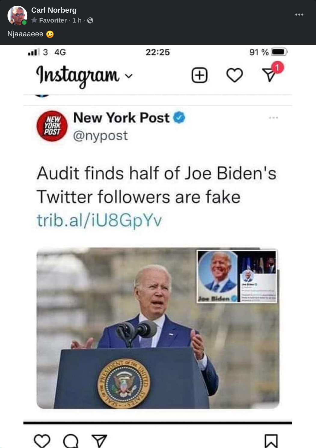 Underlivsporslinsk Twitterföljargranskning