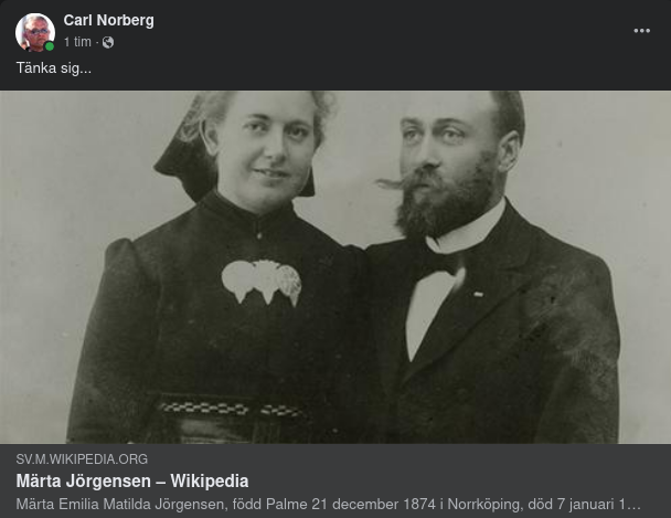 Palme & Sverigedräkten