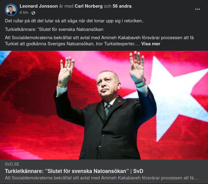 Turkietkännare Konstaterar Uppenbar Turkisk Förståelse