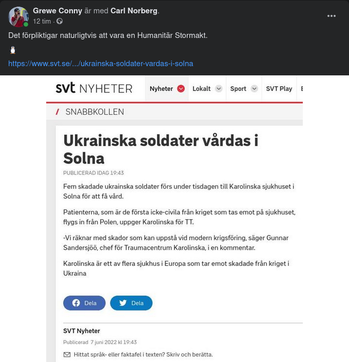 Ukrainska Soldater Vårdas På Karolinska