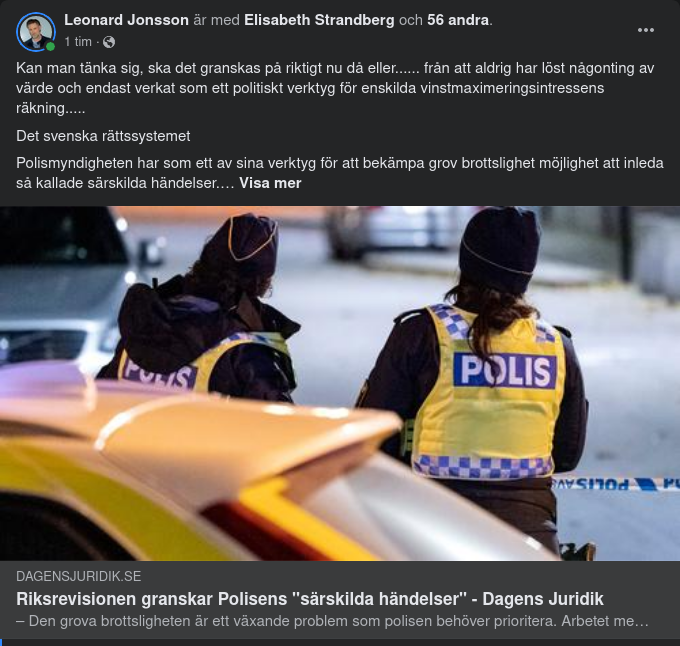 Polisgranskande Riksrevision