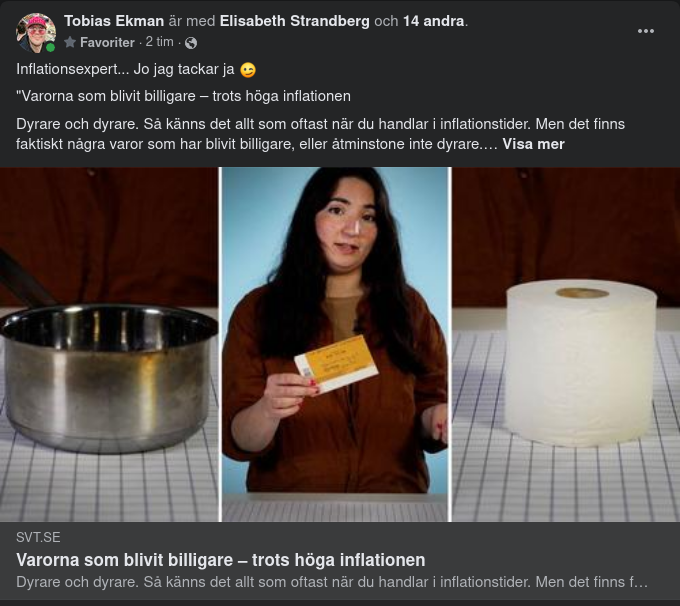 Inflationsexperten Förklarar I SVT