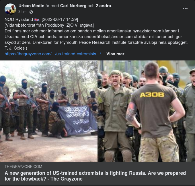 Amerikanskt I Azovregementet