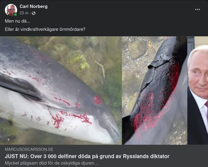 Delfinmördande Putin Hos Kajalmacke