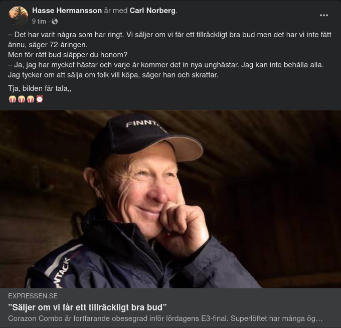 Bildsatt Hästhandlarmentalitet