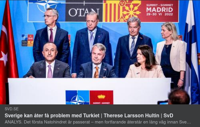 Glad Turkisk Minister