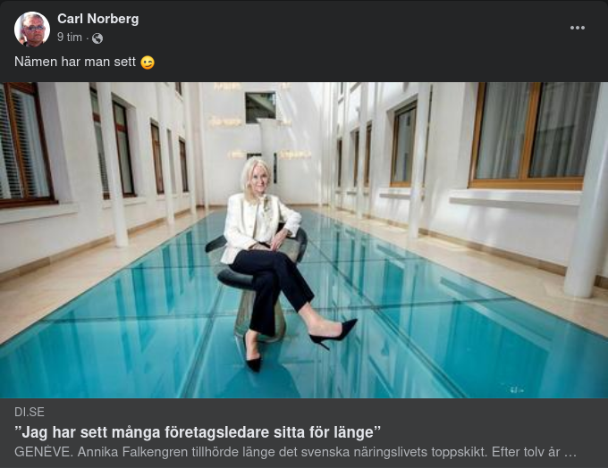 Falkengren Pratar Från Schweiz