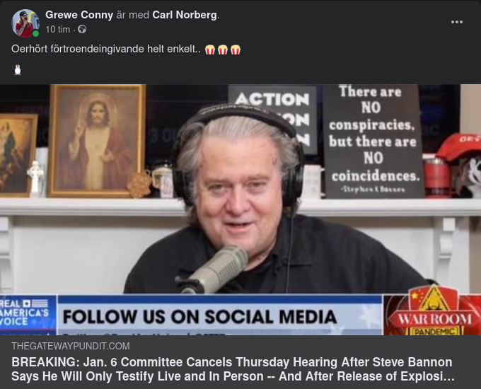 6:e Januarikommittén & Bannon