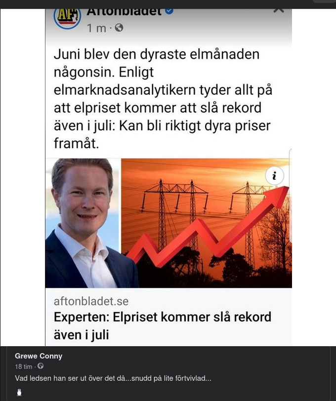 Elektrisk Prisbildningspåverkan