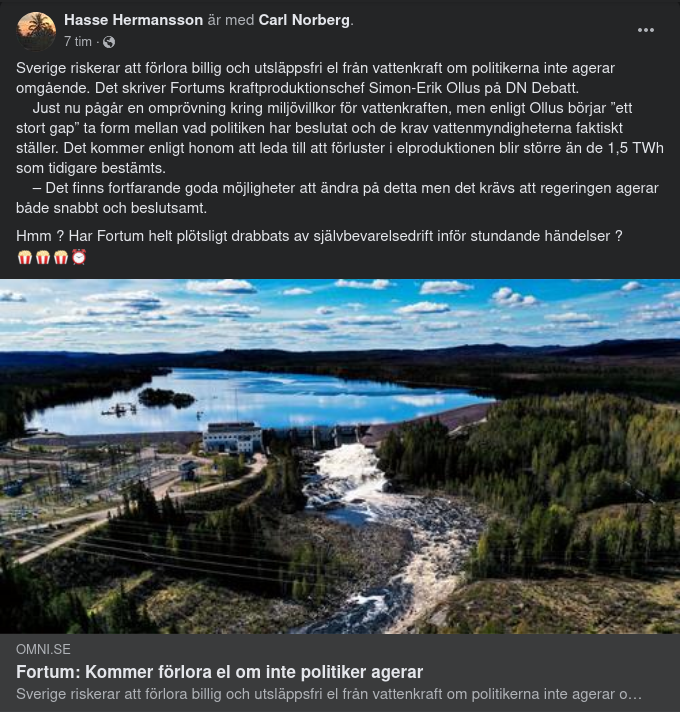 Fortum & Svensk Elförlustsrisk