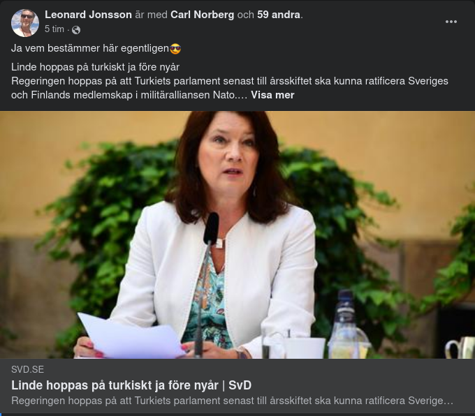 Linde Om Turkisk Protokollratificering