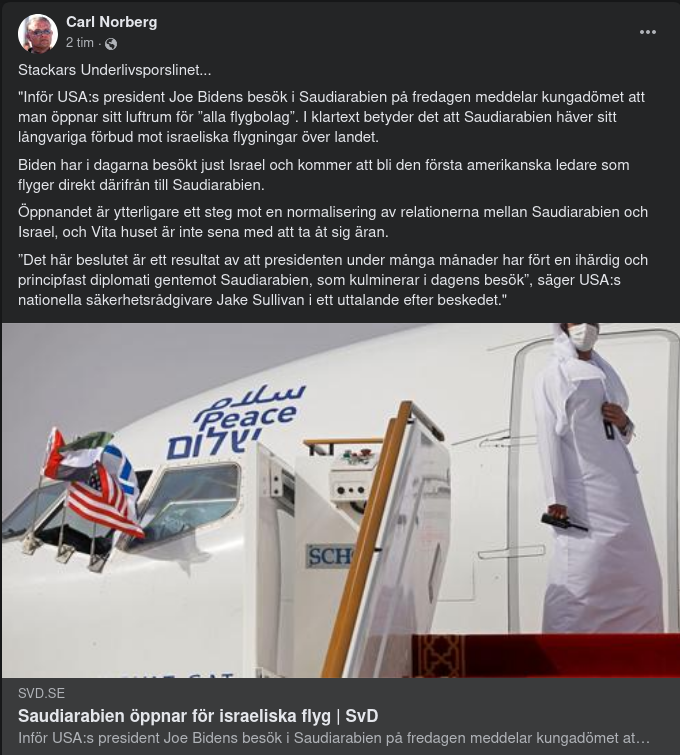 Direktflygande Underlivsporslin