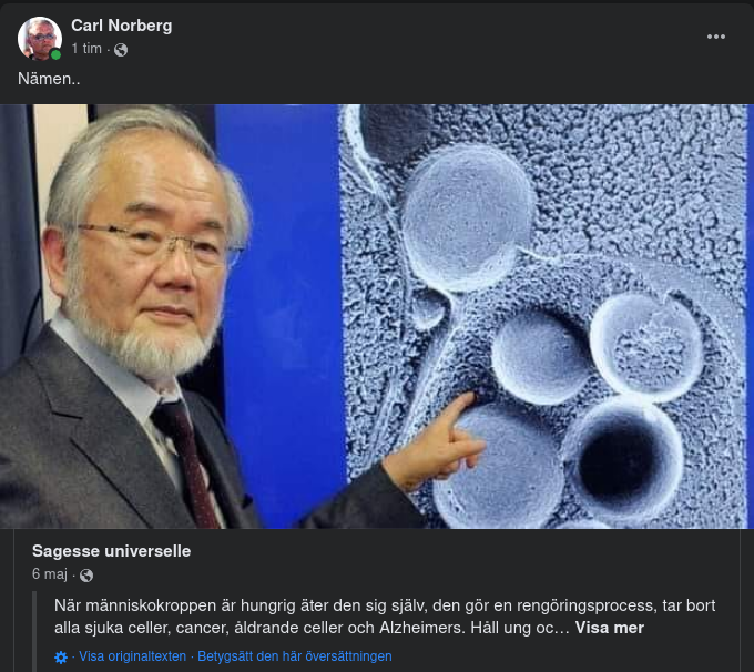 Självläkande Rengörningsprocess