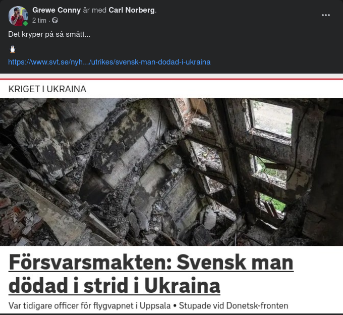 Död Svensk Vid Donetsk-Fronten
