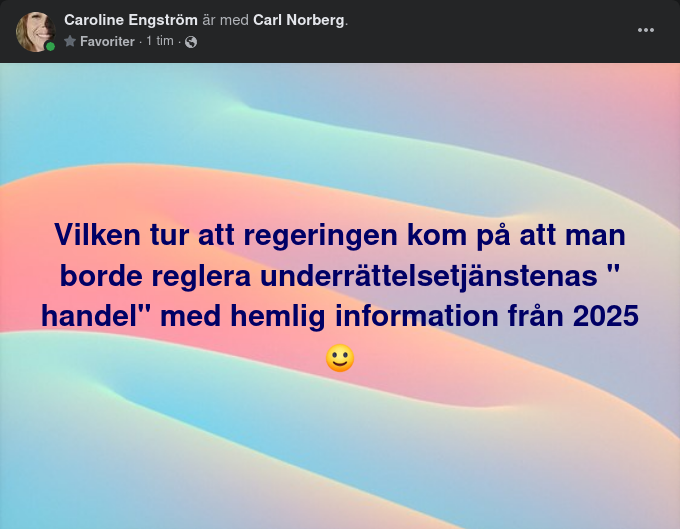 Turlig Regeringsinsikt