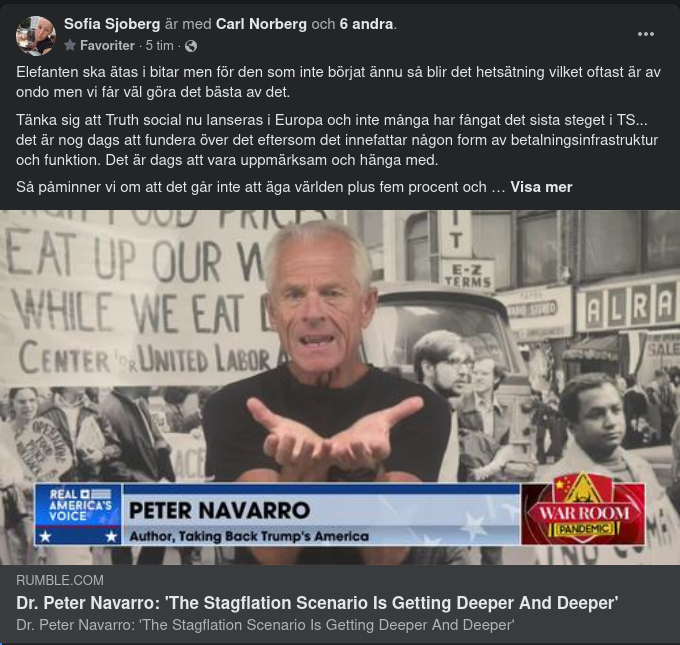 Navarro & Stagflationen