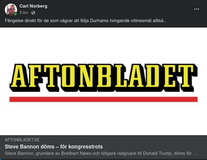 Prejudikatdömd Bannon