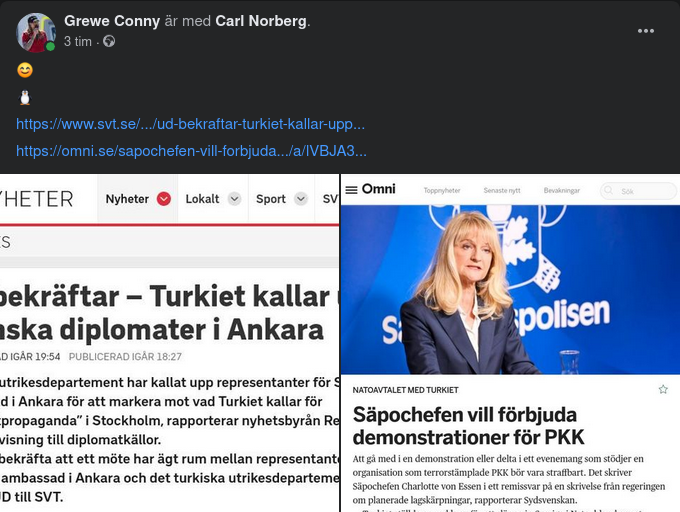 Säpo, PKK & Turkiet