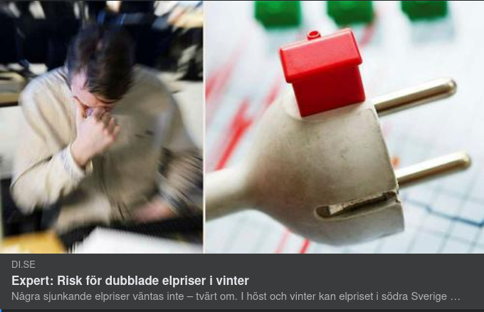 Expertbedömd Vintrig Elprisrisk