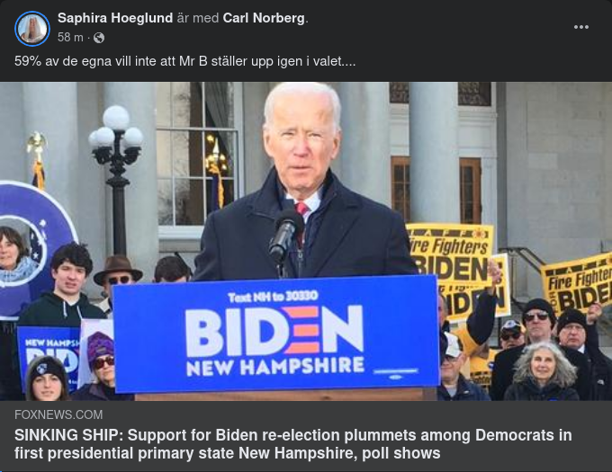 Demokratiskt Underlivsporslinsmissnöje