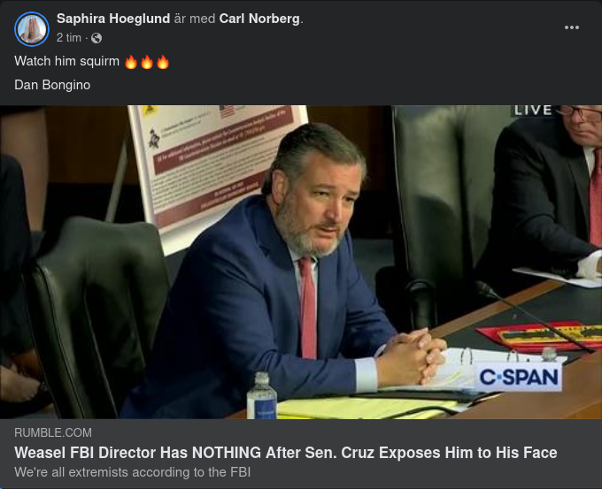 Cruz & FBI-Chefen Wray