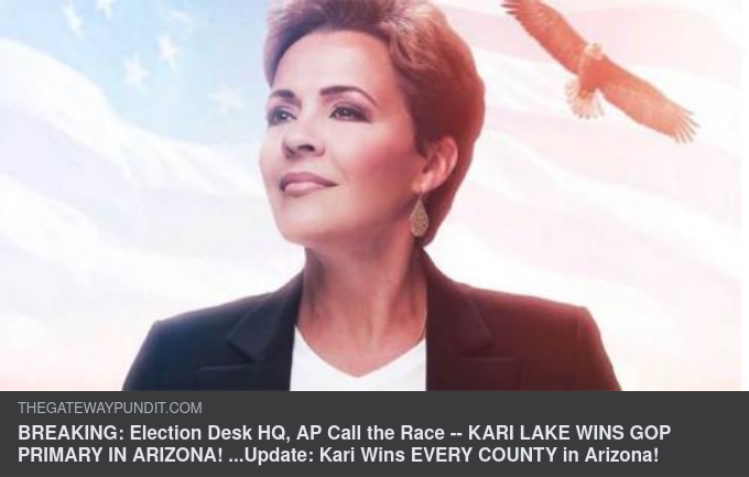 Kari Lake Vinner Arizona