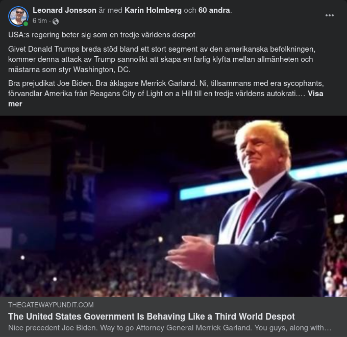 Despotisk Amerikansk Regering