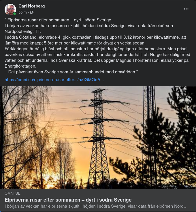 Det Svenska Elpriset