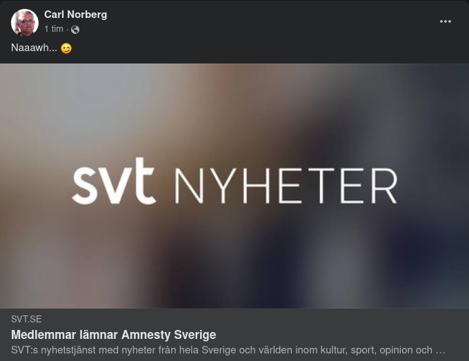 Lämnar Amnesty Efter Ukraina-Kritik