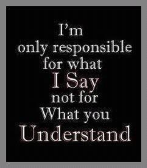 Uttalad & Förstådd Ansvarsfördelning