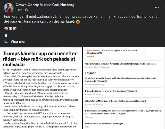 Från Orange Till Mörk Känsloresa För Trump I Omni