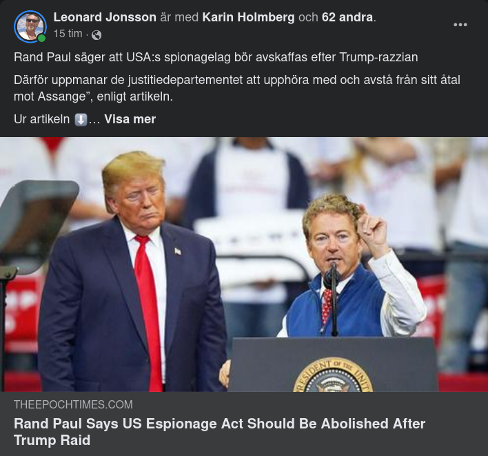 Amerikansk Spionlag Anno 1917