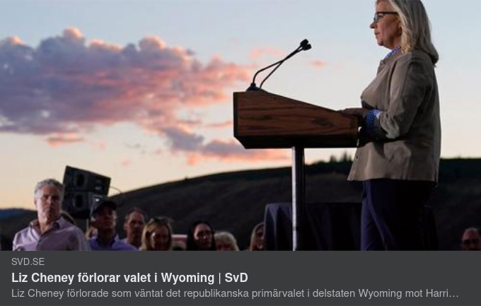 Valförlust För Liz Cheney