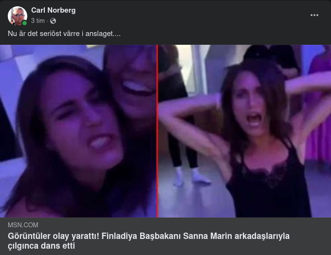 Seriöst Finskt Statsministerfestande