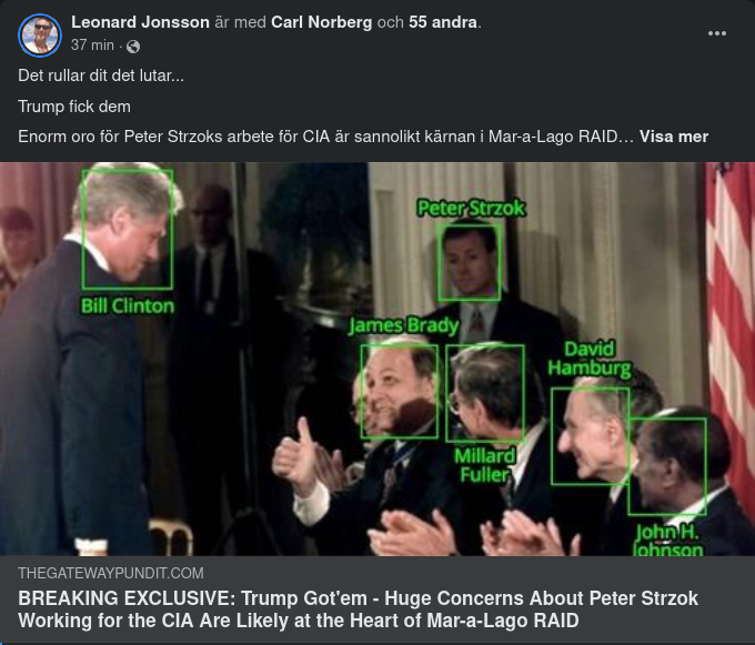Strzok, FBI & CIA