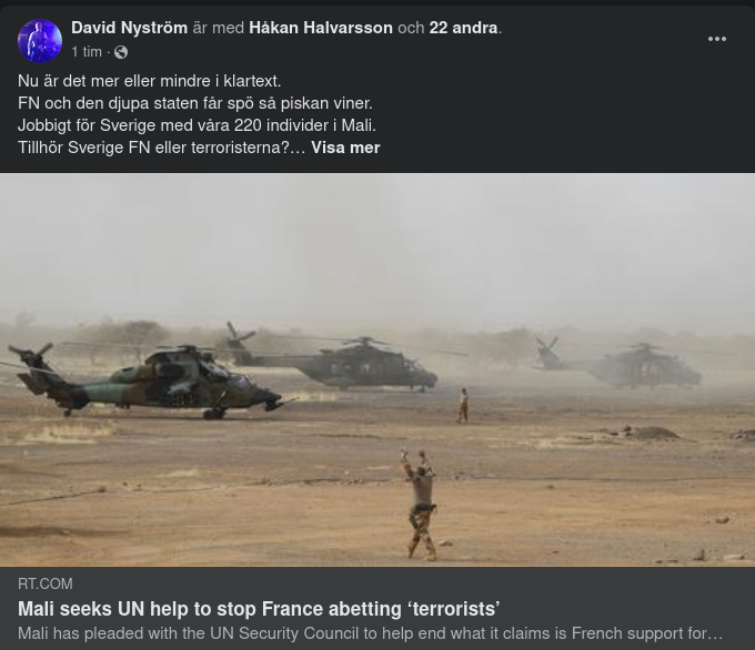 Mali Begär FN-Hjälp Mot Terroristhjälpande Frankrike