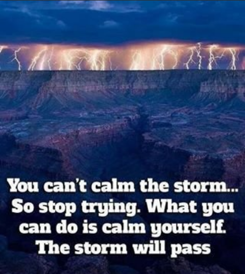 Resonemang Om Mening & Syfte Med Livet