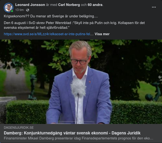 Damberg & Krigsekonomi