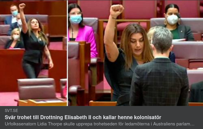 Australiensk Kolonisatörtiming