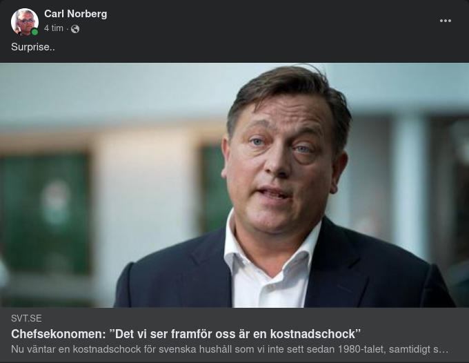 Chefsekonom Ser Kostnadschock För Svenska Hushåll