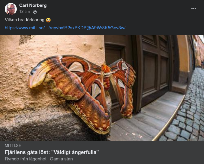 Fjärilsgåteförklaring