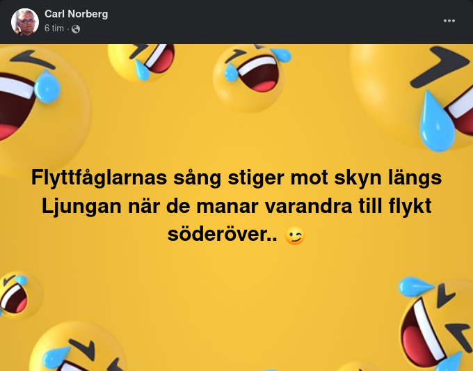 Flyttfågelsång Längs Ljungan